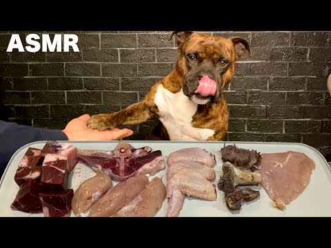 【大食い犬ASMR】生肉爆食いしたらベロが出ちゃう愛犬www