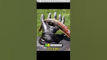 可以融化任何東西的手（@Noah Klein）