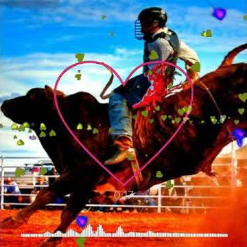 PULA BOI, PULA CAVALO: Country Bulls resgatará tradição das montarias em  cavalos