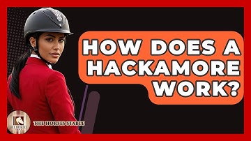How Does A Hackamore Work? - The Horses Stable