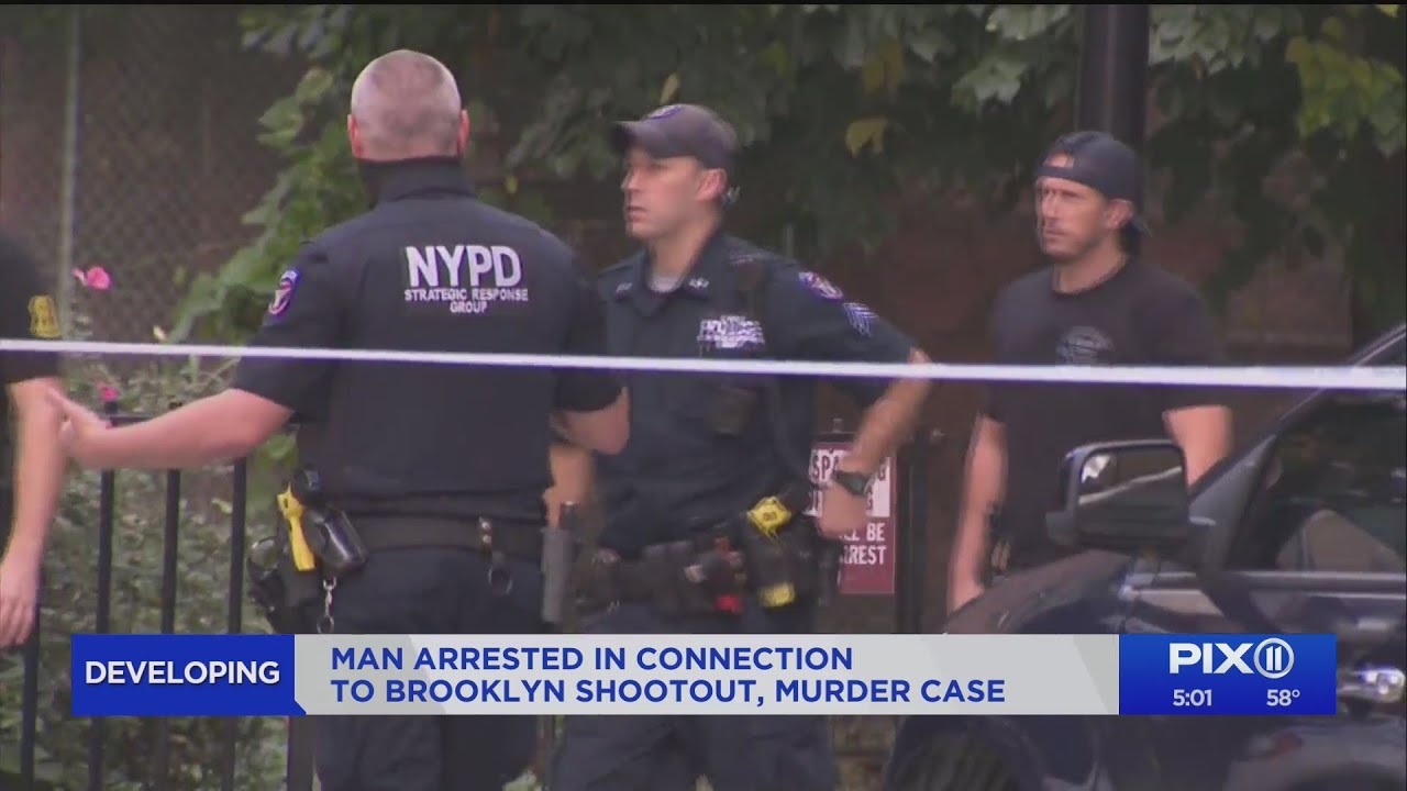 Shots fired in Downtown Brooklyn involving suspect, New Rochelle police ...