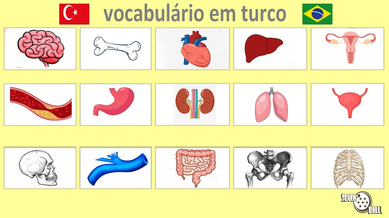 aula de turco - partes do corpo em turco