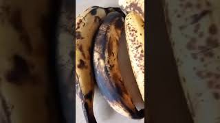 rotten banana #banana #shorts #youtubeshorts