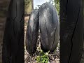 Track tyres 3k