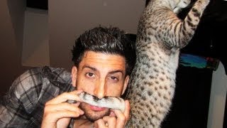 CATSTACHE