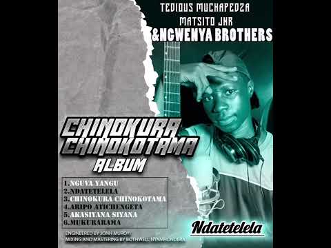 Muchapedza Teddy Jnr Matsito And Ngwenya Bros Ndatetelela CHINOKURA CHINOKOTAMA ALBUM 2025 Pro