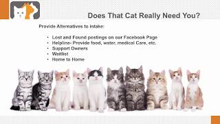 Million Cat Challenge: Managed Intake and Restructuring the Budget - webcast