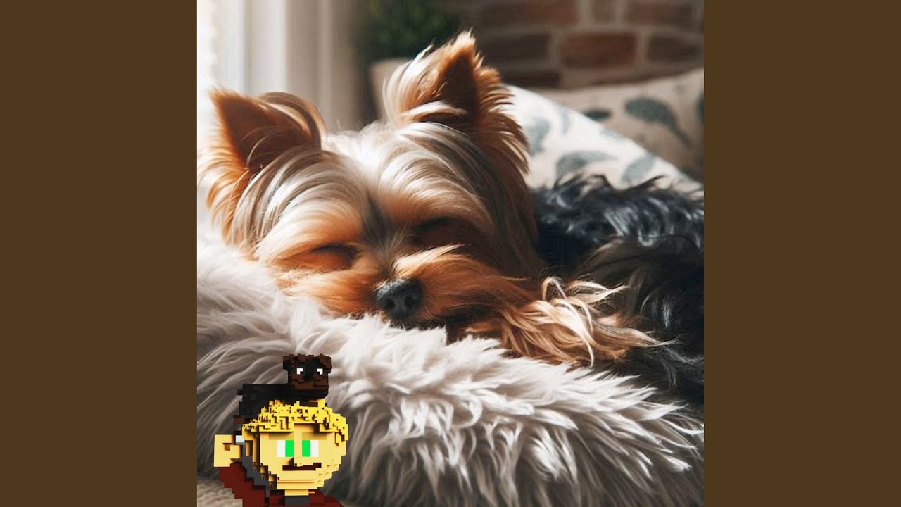 Calm Down Dog Part MDCXIX