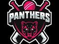 1ST INNINGS ONLY - Panthers v Western Steel 10/5/26 (SWWCL Premier League - 40 overs)
