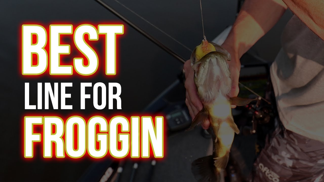 Best Braided Line for Topwater FrogsMy Take on It 