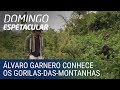 Álvaro Garnero conhece os gorilas-das-montanhas em Ruanda