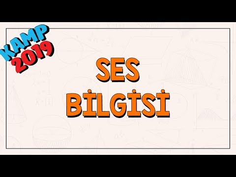 Ses Bilgisi