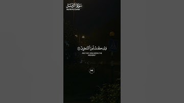 #سورة_الزمر ||حالات واتس قرآن ||القارئ#علي_آل_عسكر #تلاوة_هادئة #المصحف