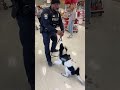 Dogs At Work Funnydogs DogTok DogFails2025 DogsOfspring DogVsOwner Petfyp Usa Dogs At Work Funnydogs DogTok DogFails2025 DogsOfspring DogVsOwner Petfyp Usa