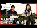 Qué beneficios aportan las GALLINAS a la salud de los NIÑOS 😍