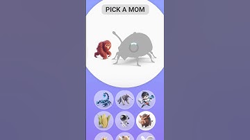 Orangutan + warthog🔥| Animash - Animal Fusion #animash #shorts #youtubeshorts