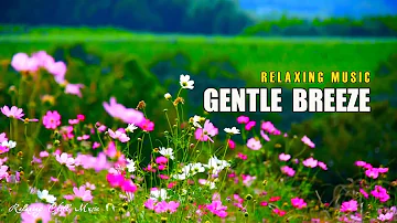 Soothing Relaxation, Beautiful Flower Garden, Relaxing Chill Music - Gentle Breeze