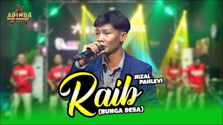 RAIB (Bunga Desa) - COVER BY RIZAL PAHLEVI _ AFC ADINDA MUSIK