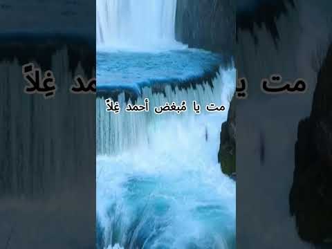 هل صليت اليوم عليه الشيخ عبدالله كامل