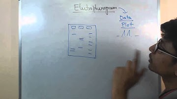 Electropherogram