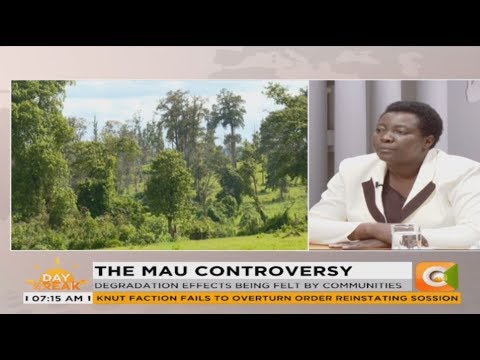 citizen tv live stream kenya We have to discuss about Mau when people are out: Mercy Karunditu | DAY BREAK |