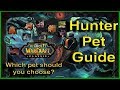 A Guide for Hunter Pets - World of Warcraft Classic