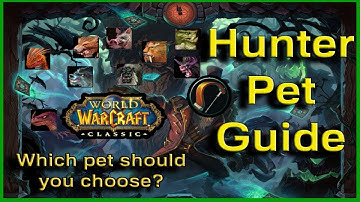 A Guide for Hunter Pets - World of Warcraft Classic