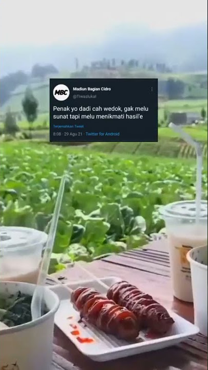 STORY WA || PENAK YO DADI CAH WEDOK