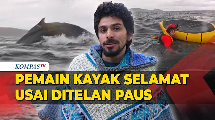 Detik-Detik Ayah Rekam Anak Ditelan Paus, Begini Pengakuan Anak yang Selamat!