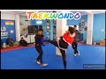 Taekwondo kicking drills by aamir khan  aryans world coach