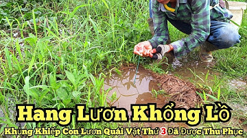 Câu lươn khủng_Con lươn quái vật khổng lồ thứ 3 đã được thu phục tại đây_tập897//Giant eel fishing