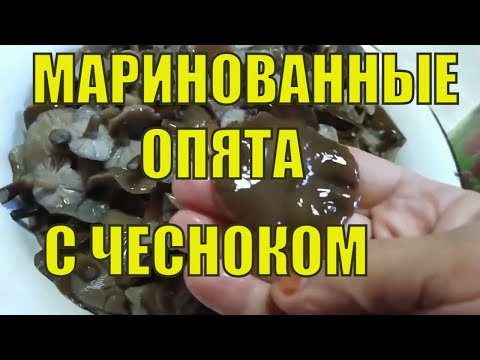 Маринованные опята с чесноком. И к картошечке и к праздничному столу!