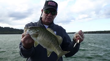 Fishing tip - Spinnerbait with trailer hook - KVD