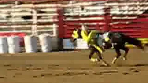 Trick Horseback Riders