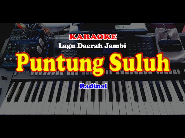 Lagu Daerah Jambi - RADINAL - PUNTUNG SULUH - KARAOKE class=