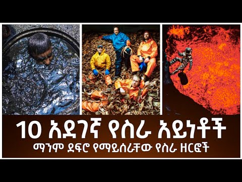 ቪዲዮ: የሻንጋይ ልዩ ቡቲክስ እና ሱቆች ምርጡ