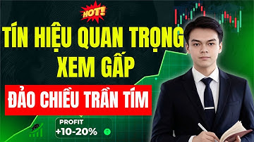 Thị Trường Đảo Chiều: Cơ Hội Vàng Hay Bẫy Tử Thần?