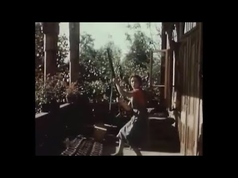 \"ჭრიჭინა\" - \"თქვენ მოჰკალით ძერა?\" (chrichina)