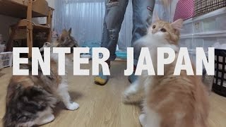 Enter Japan 10.14.16 (Us Version, Re-Edit) Cats & Travel