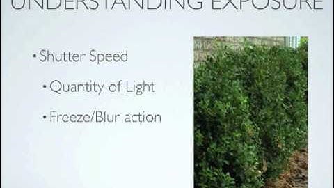 A Guide To Understanding Exposure in Photography