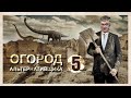 Огород альтернативщика 5. Ментальные генераторы в приусадебном хозяйстве