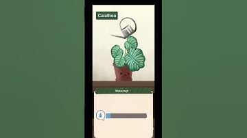 Meet the plants in our cozy game!