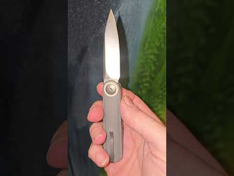 WE Eilodon Integral 20CV