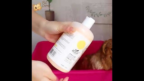 Sữa tắm cho chó mèo Dorrikey loại bỏ ve rận, khử mùi hôi, dưỡng lông cho thú cưng (510ml)