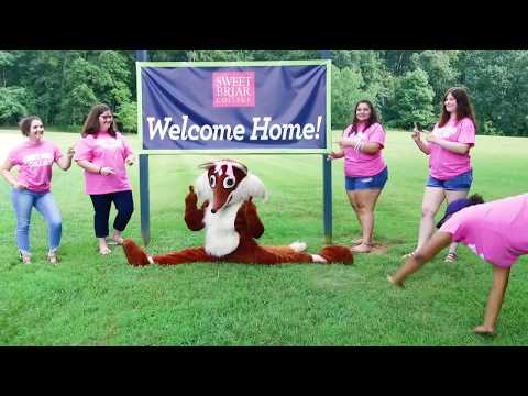 Welcome to Sweet Briar!