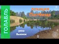 Русская рыбалка 4 - река Вьюнок - Голавль: неудавшийся поход