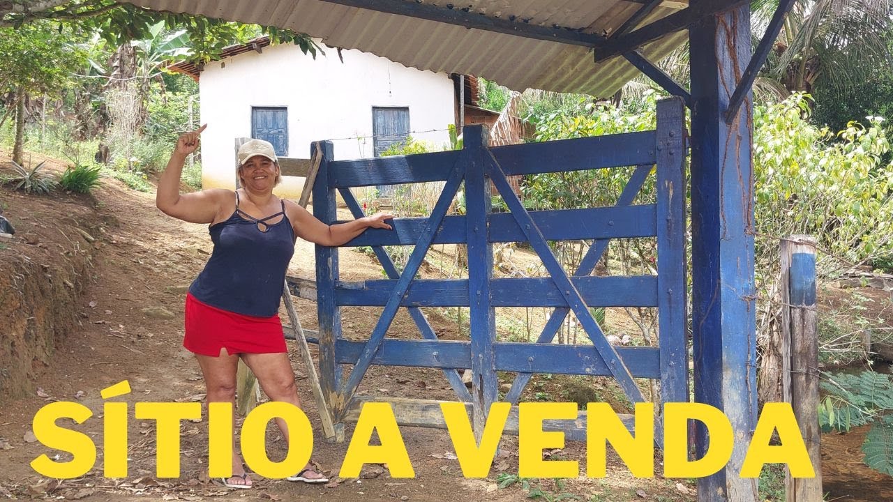 SÍTIO A VENDA MUITO BARATO