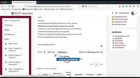 How To Bulk Download Turnitin Files From Moodle