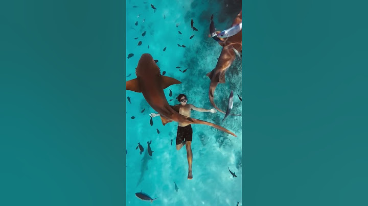 Places in Maldives that don’t feel real #travel #explore #adventure #nature #maldives