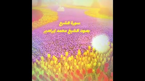 #سورة الشرح بصوت الشيخ| محمد إبراهيم